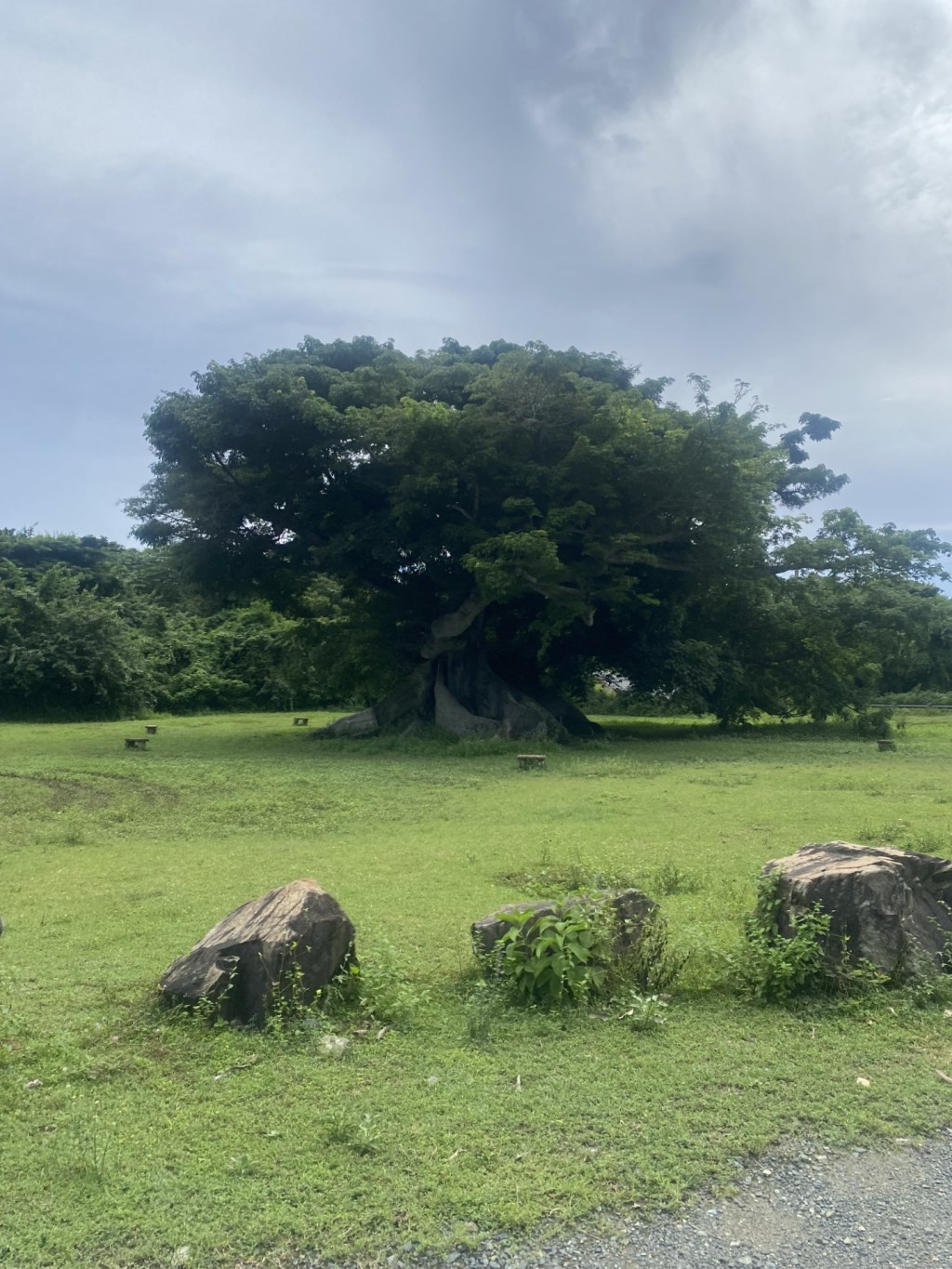 Shores of Wonder: Vieques wades towards the Future
